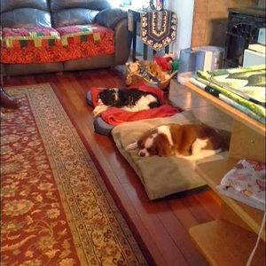 Meet your Posher, Roseann